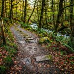 Path Less travelled